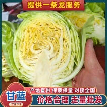 精品甘蓝对接全国市场绿甘蓝圆包菜各种新鲜蔬菜齐全