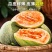 晓蜜25哈密瓜山东哈密瓜精品哈密瓜大量供应可视频看