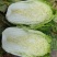 【推荐】黄心白菜大白菜山东果蔬基地直发保质保量