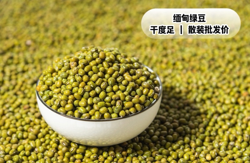 缅甸油绿豆大颗粒，可做绿豆汤、熬粥也适合食品厂餐饮批量