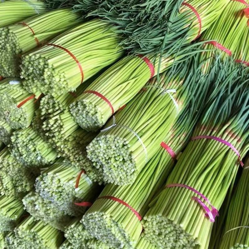 【红帽蒜薹】山东聊城鲜蒜薹产地直发蒜台货量充足