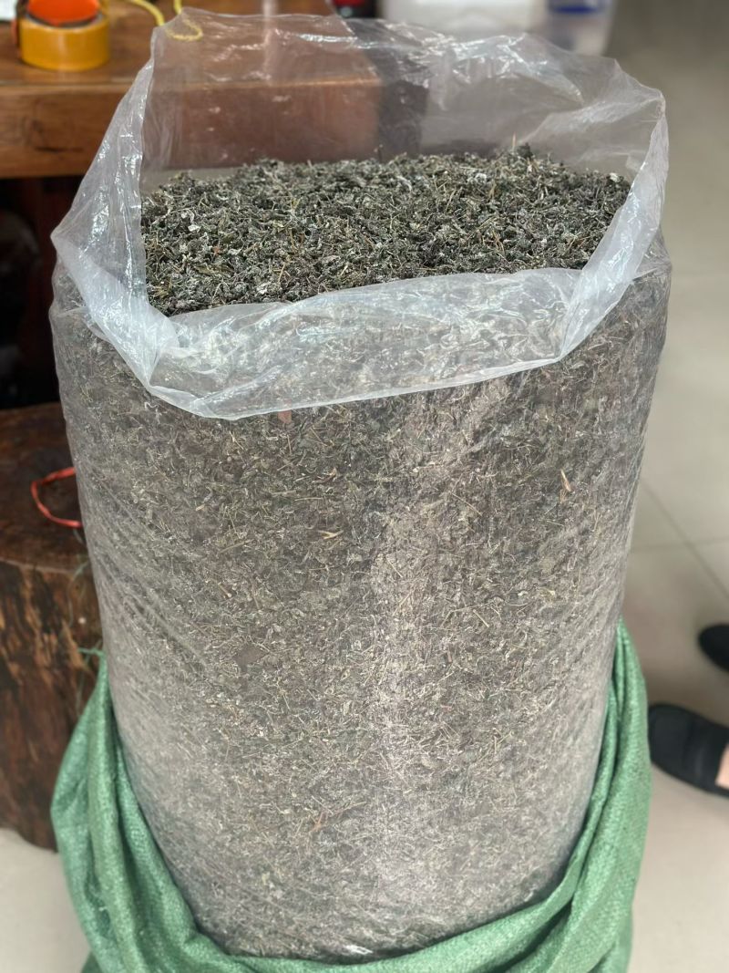 广西藤茶，野生藤茶茶叶茶