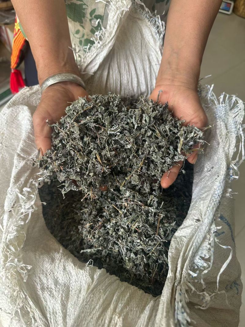 广西藤茶，野生藤茶茶叶茶