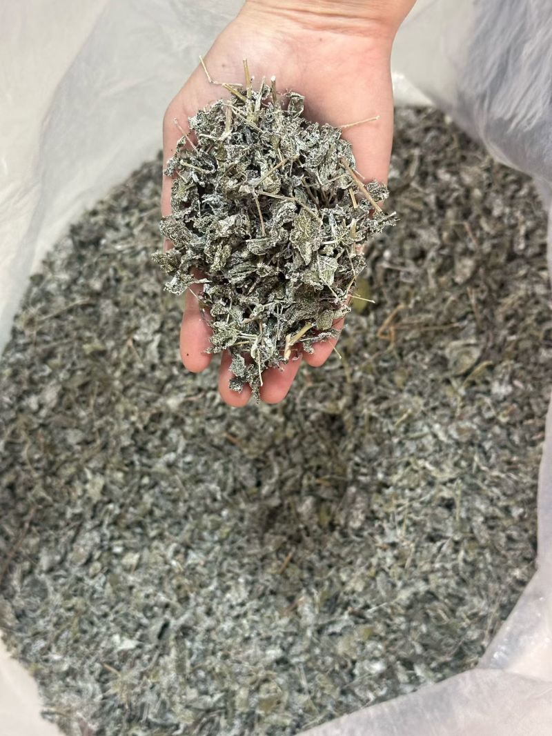 广西藤茶，野生藤茶茶叶茶