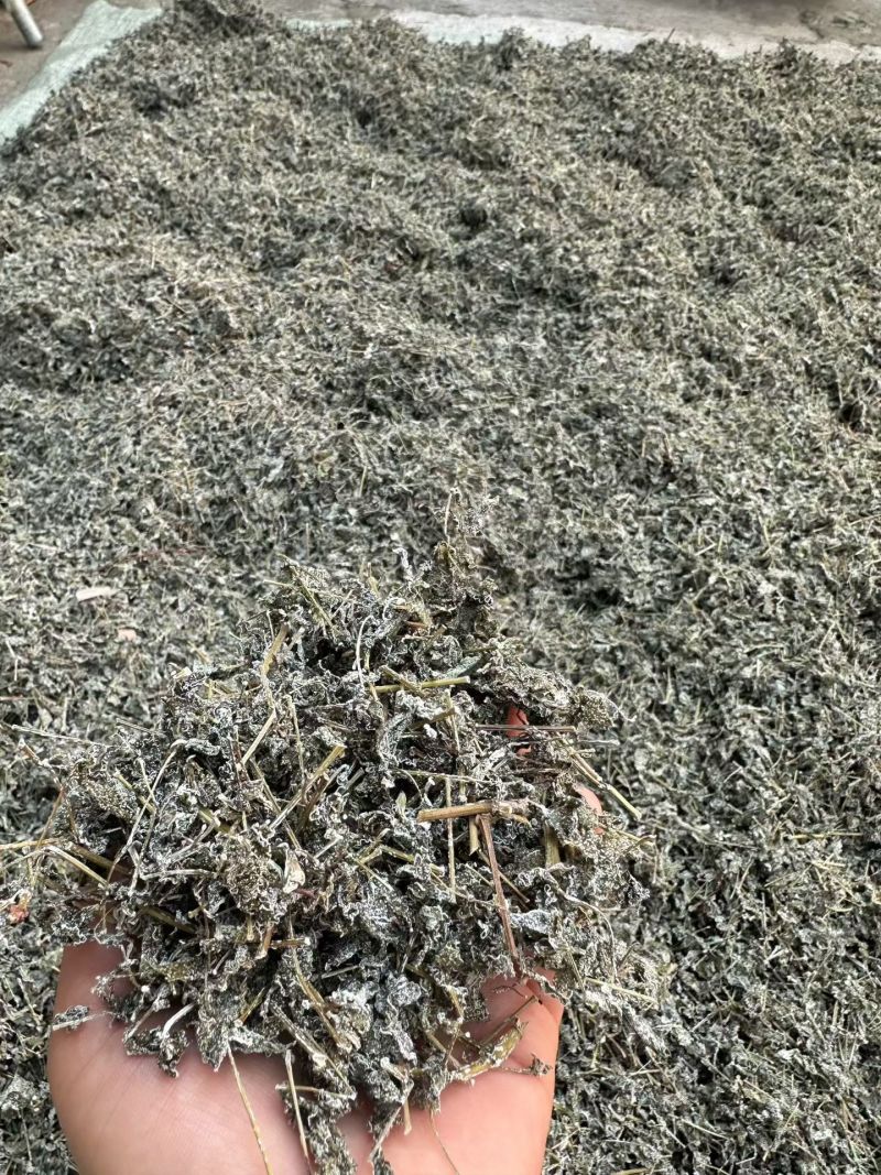 广西藤茶，野生藤茶茶叶茶