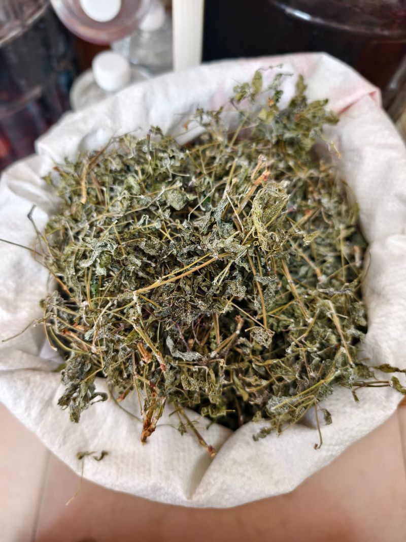 广西藤茶，野生藤茶茶叶茶