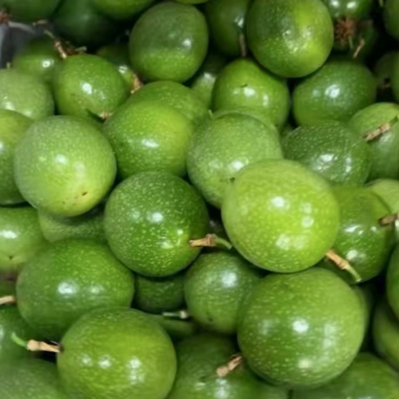 海南百香果大果70g大量供应货源充足，对接全国客户