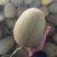 哈密瓜