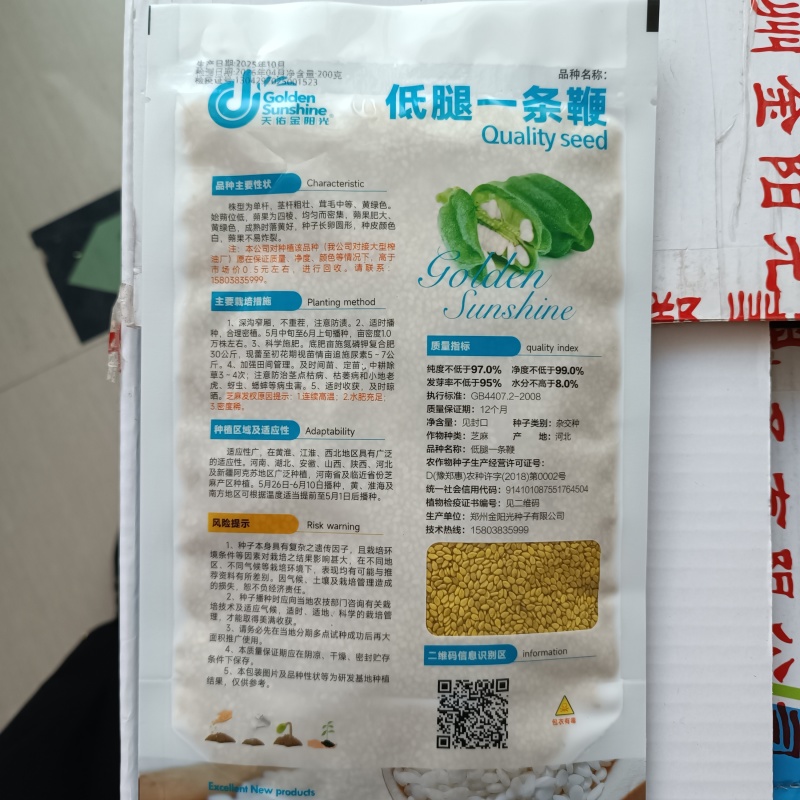 矮脚霸王鞭芝麻种子中早熟杂交一代白芝麻种子茎秆粗壮不倒伏