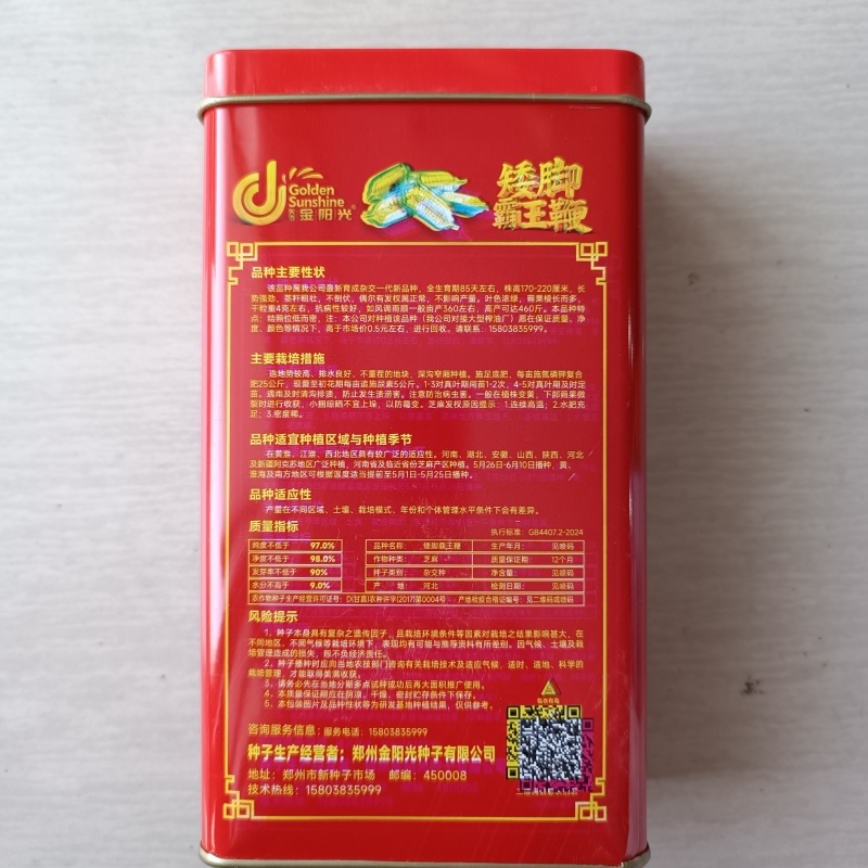 矮脚霸王鞭芝麻种子中早熟杂交一代白芝麻种子茎秆粗壮不倒伏