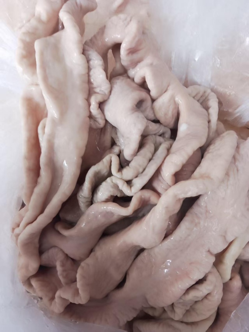 精品猪大肠，大量有货，品质有保障，价格实惠欢迎咨询下单
