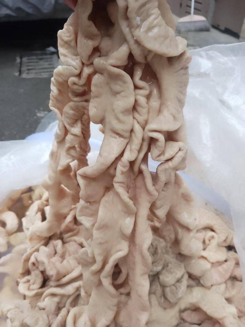 精品猪大肠，大量有货，品质有保障，价格实惠欢迎咨询下单