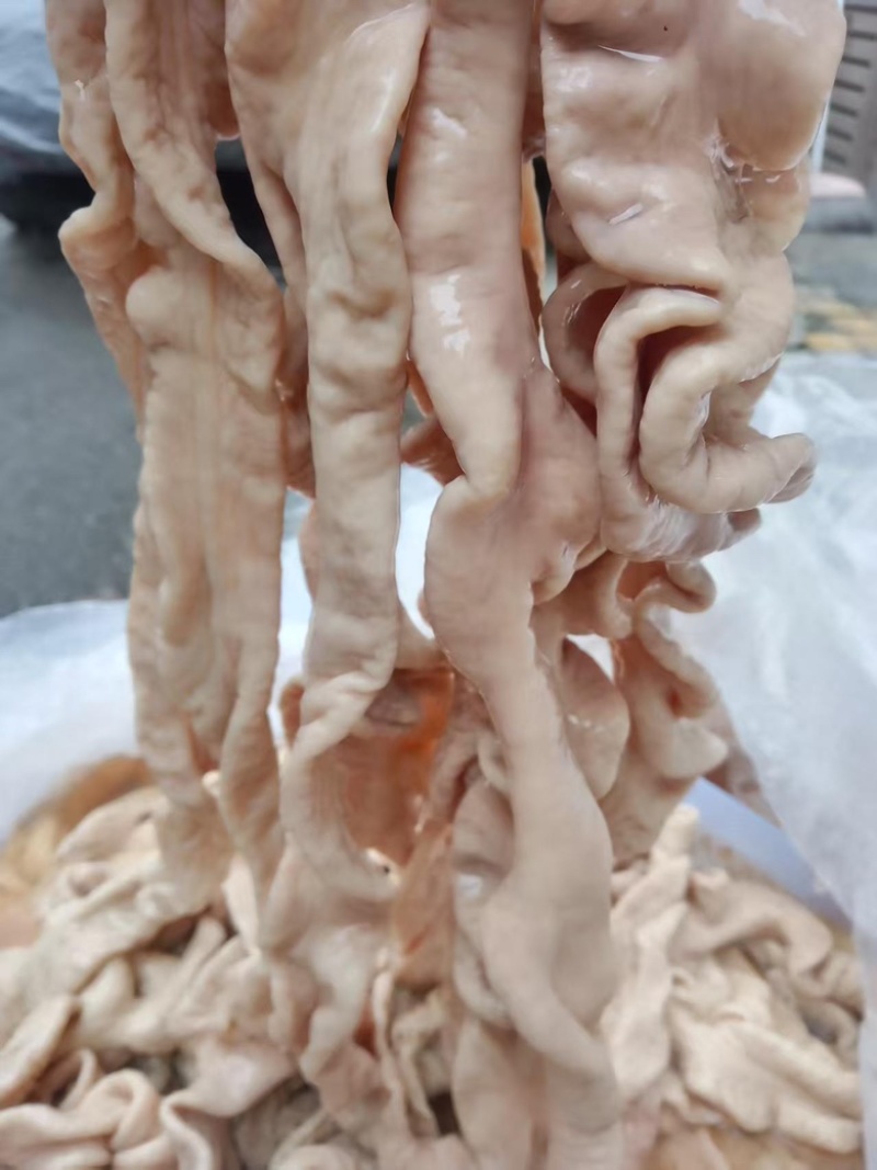 精品猪大肠，大量有货，品质有保障，价格实惠欢迎咨询下单