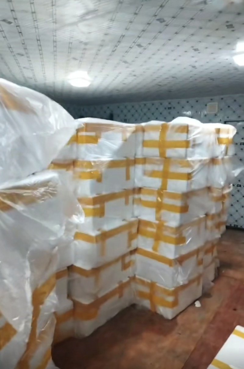 精品瓜尖龙须菜