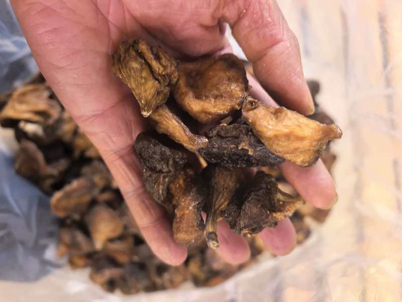 樹熟烘干无花果饼