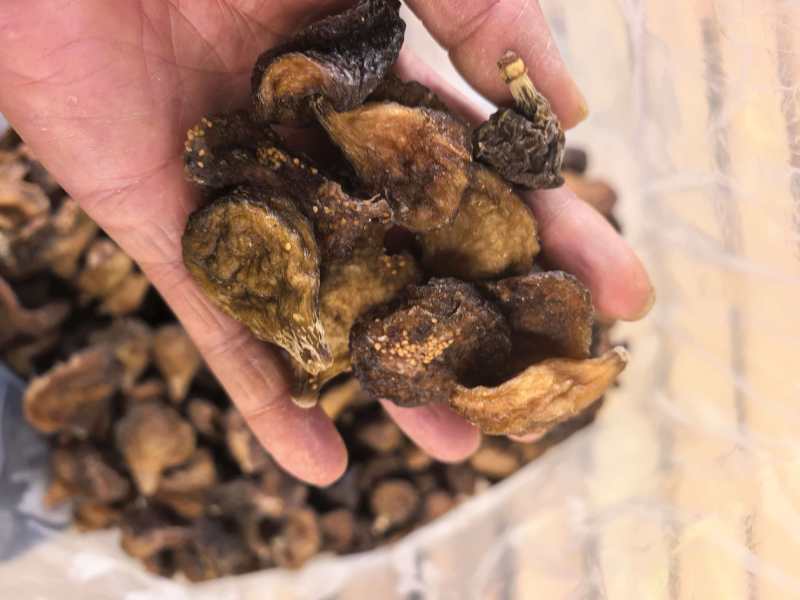 樹熟烘干无花果饼