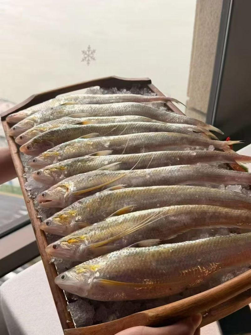 刀鱼陷饺子馅大量供应可视频看货厂家直发欢迎来电采购