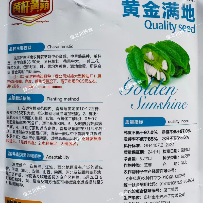 黄金满地芝麻种子早熟三黄白芝麻种籽高产黄杆黄蒴芝麻种子