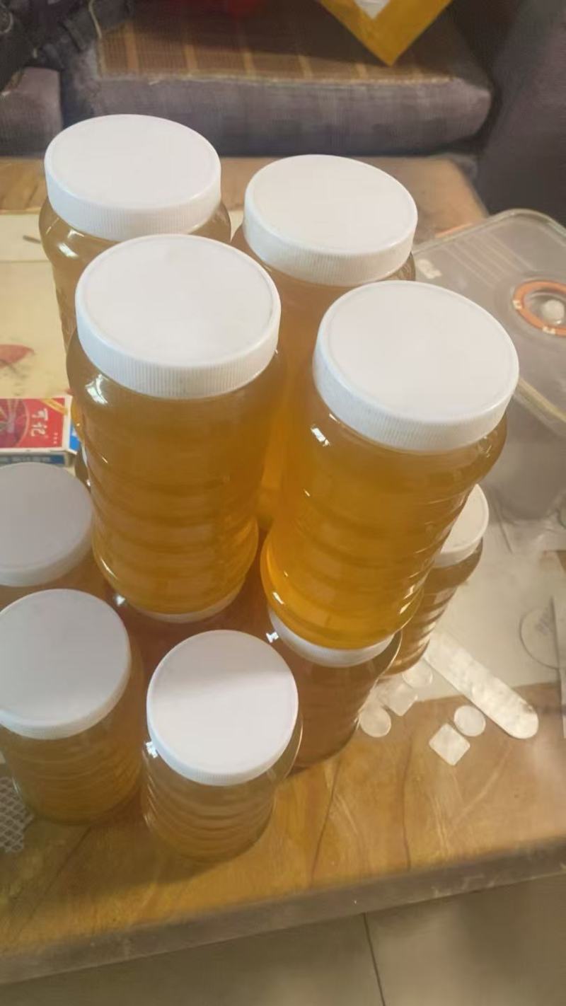 家养蜂糖