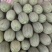 晓密25号，哈密瓜，小蜜25号，产地直发，对接各大商超