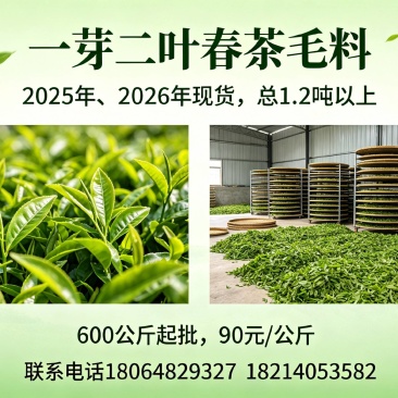 景东龙街东山村下村自家晒青毛茶600kg整批90元/