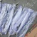 山东威海石岛4-6两6-8两鲅鱼（马鲛鱼）