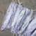 山东威海石岛4-6两6-8两鲅鱼（马鲛鱼）