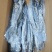 山东威海石岛4-6两6-8两鲅鱼（马鲛鱼）