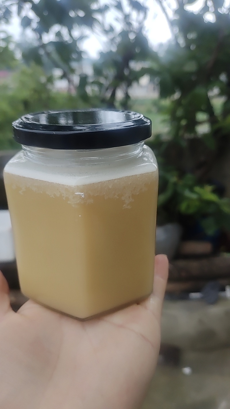 正宗野生土蜂蜜