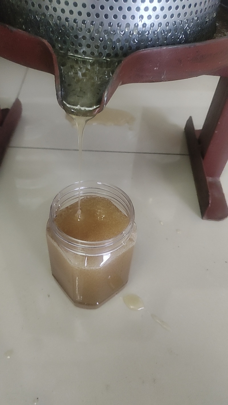 正宗野生土蜂蜜