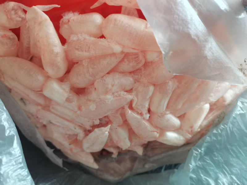 鱼籽鱼泡大量有货有需求老板私信我
