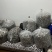 头茬羊肚菌干货精选肉厚羊肚菌产地一手货源支持一件代发