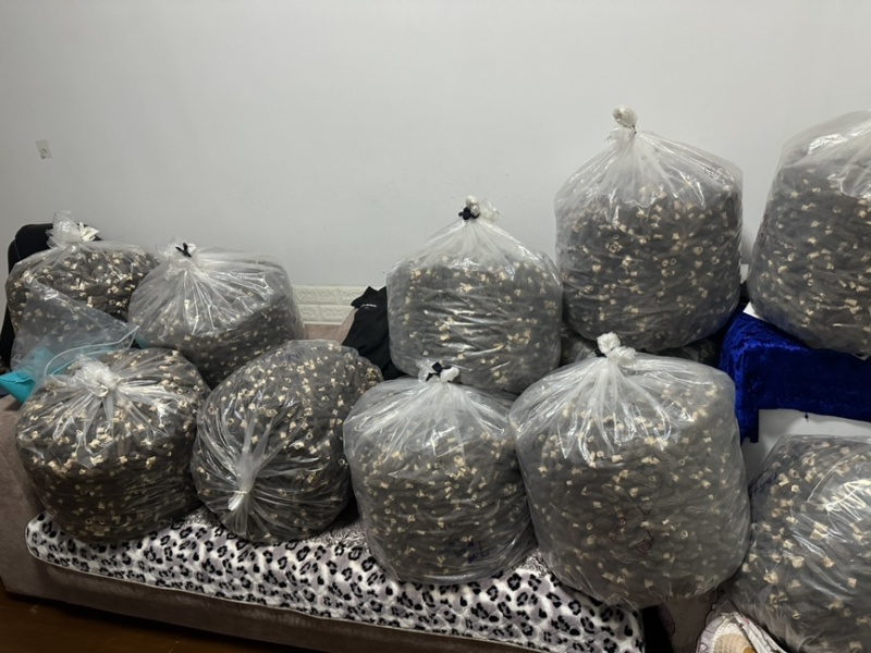头茬羊肚菌干货精选肉厚羊肚菌产地一手货源支持一件代发