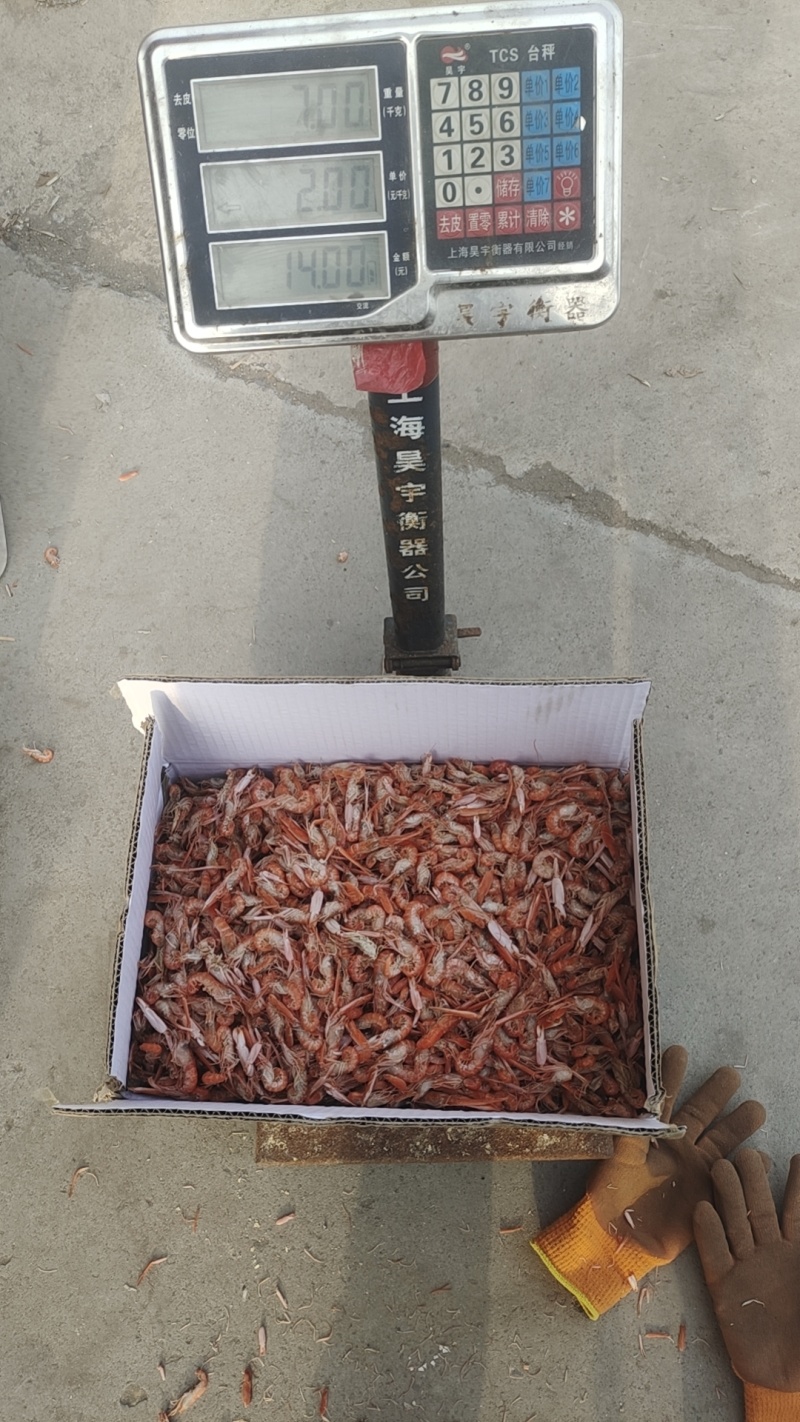 爪虾红虾