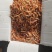 爪虾红虾
