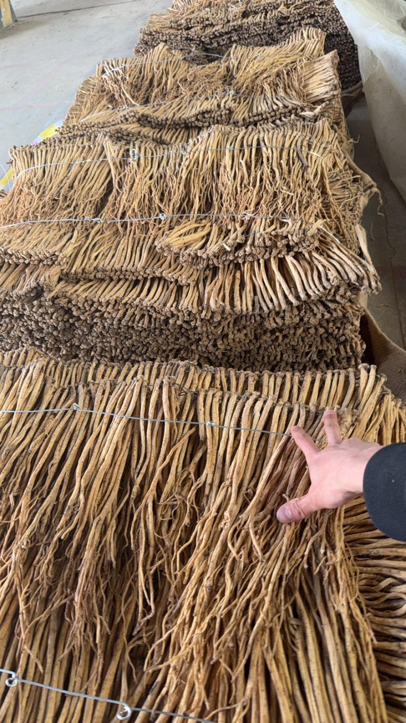 精品白条党参，产地甘肃陇西。无硫熏。大量供应一手货源。