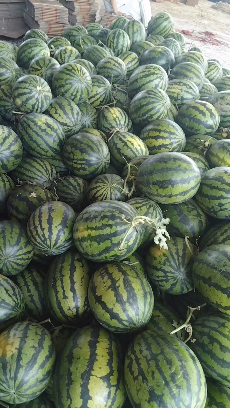 质量三包