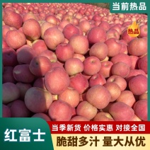 精品片红富士，量大从优，欢迎咨询订购品尝