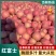 精品片红富士，量大从优，欢迎咨询订购品尝