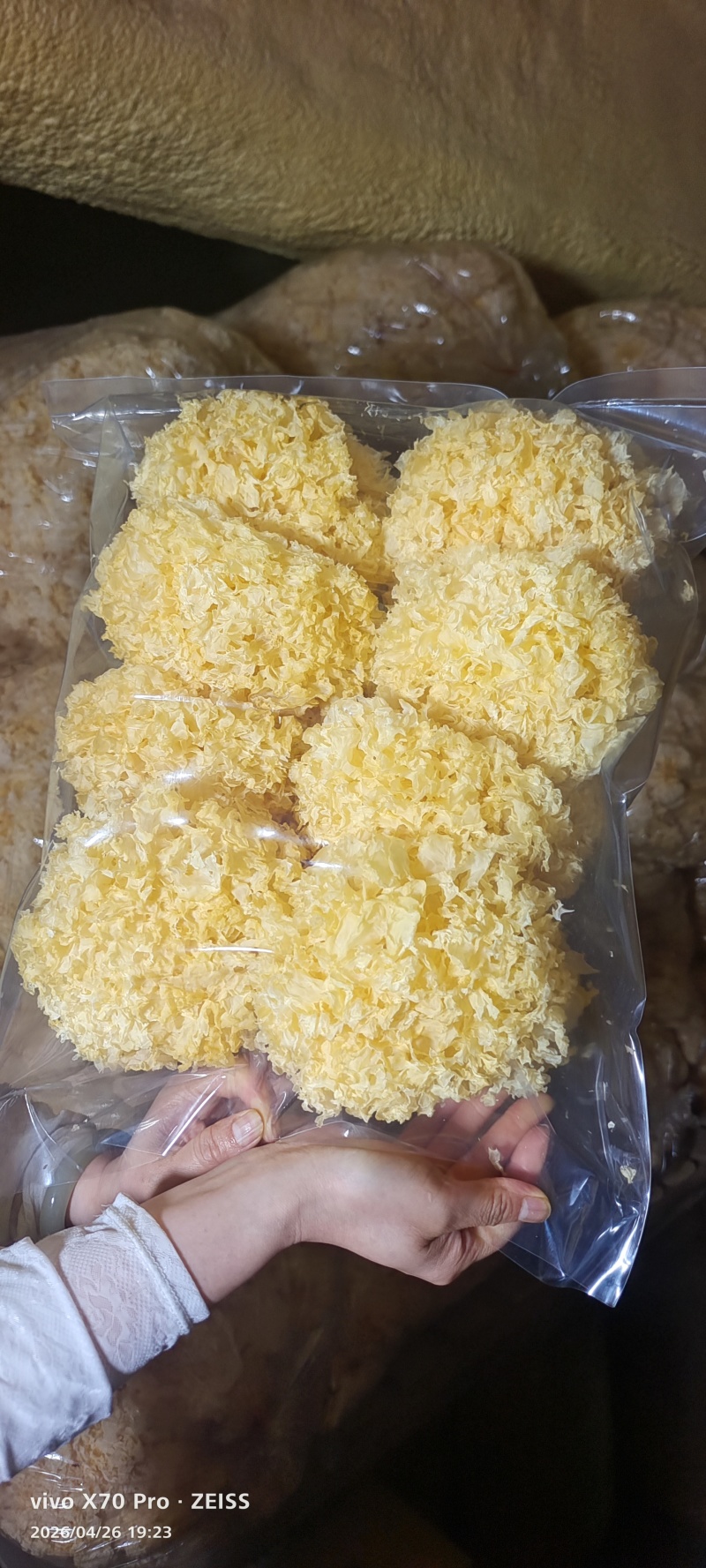 古田银耳味来初大花银耳500克/袋