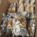 菌汤包包汤料100到400克都有菌菇汤炖鸭包装多选可定制