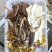 菌汤包包汤料100到400克都有菌菇汤炖鸭包装多选可定制