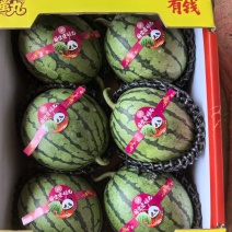 精选2k小糖丸