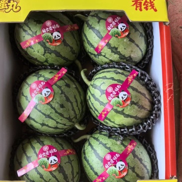 精选2k小糖丸