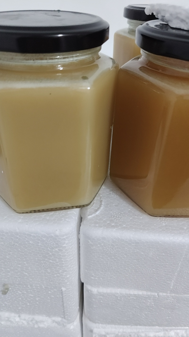 土蜂蜜。枇杷蜜。巢蜜