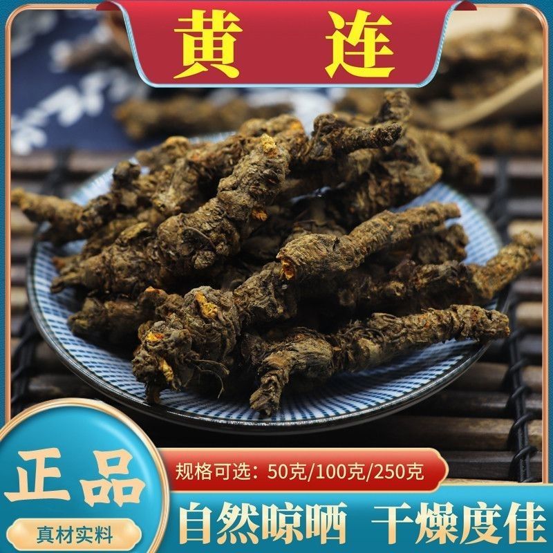 黄连个子四川泡水黄莲正宗野生川黄连