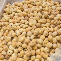 无花果101AA开口闭口保质量大价优全国发货欢迎来电