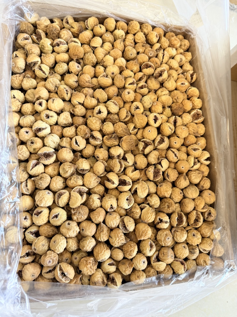 无花果101AA开口闭口保质量大价优全国发货欢迎来电