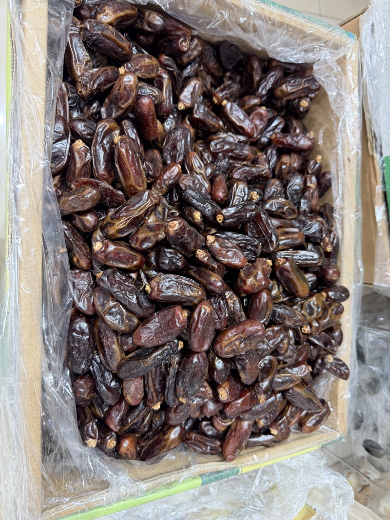 [热卖]伊朗黑椰枣伊拉克黄椰枣沙特椰枣一手货源