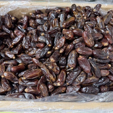 伊朗黑椰枣各种规格都有一手货源价格优惠供应全国